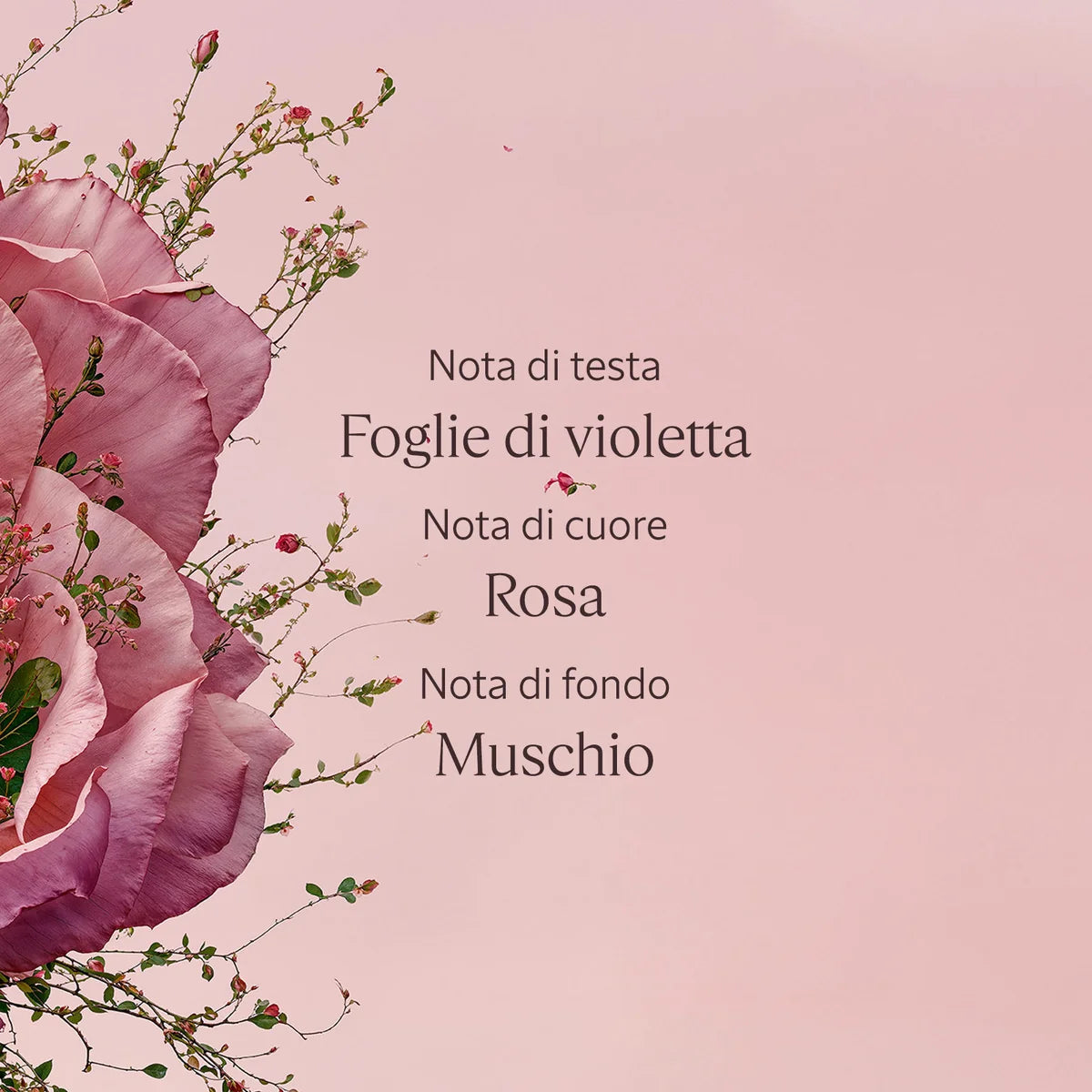 Rose Eau de Toilette