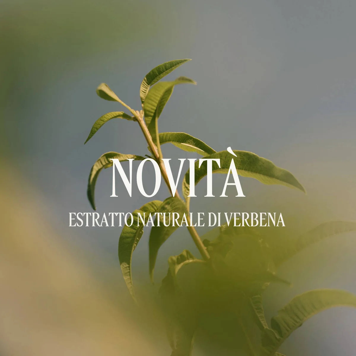 Verveine Gel Crema Mani Verbena