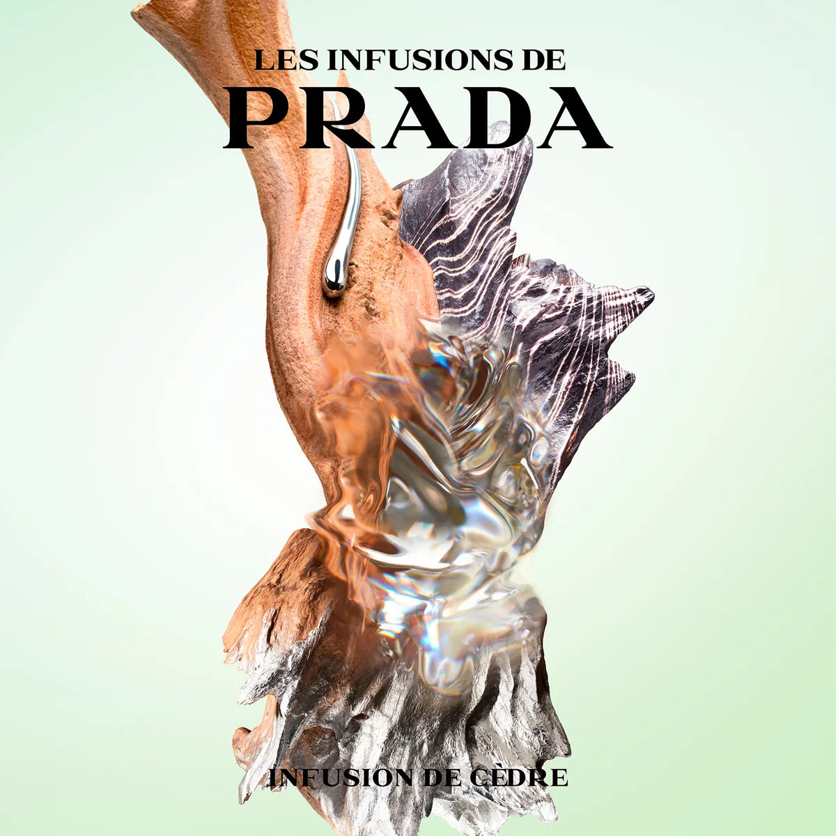 Les Infusions Infusion de Cèdre Eau de Parfum