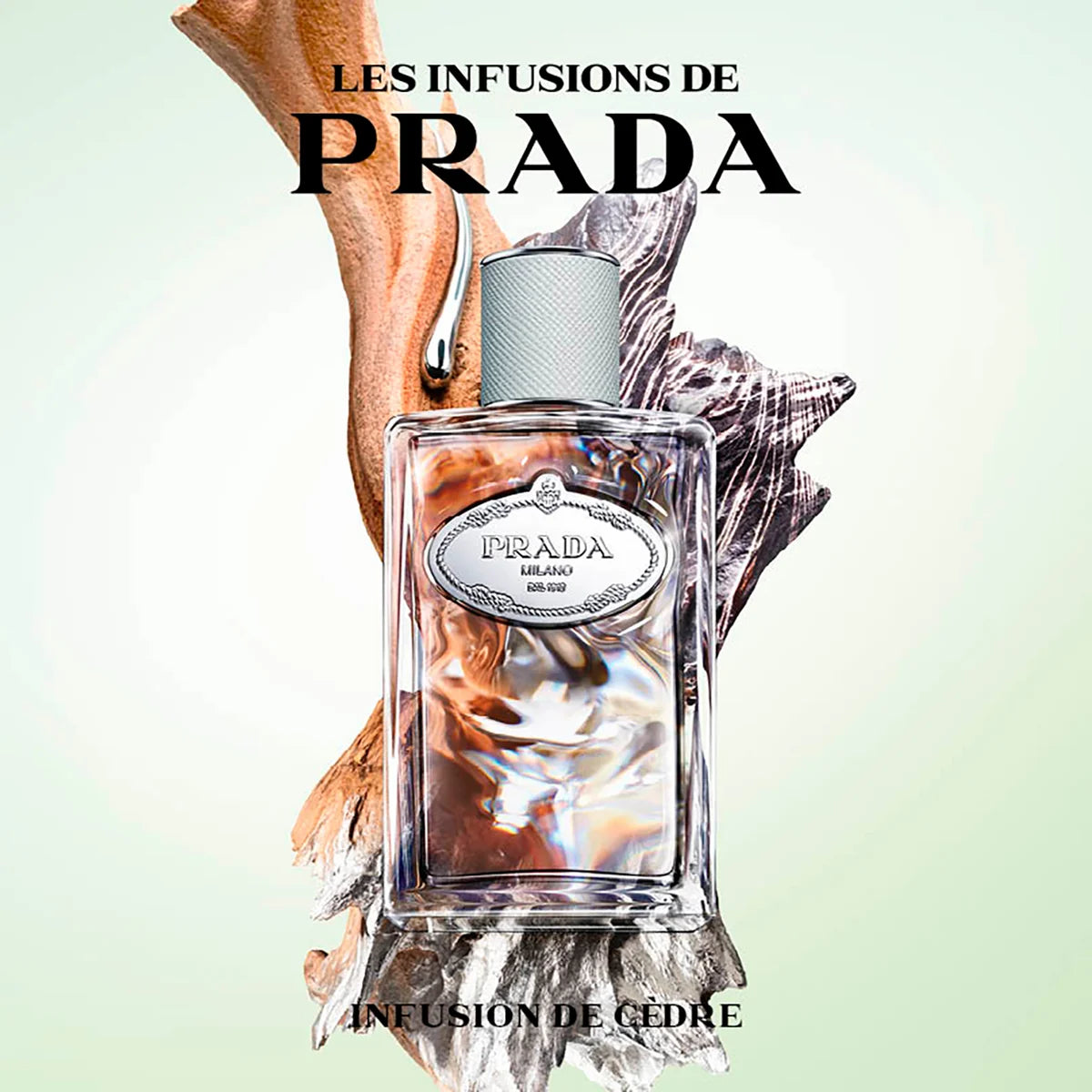 Les Infusions Infusion de Cèdre Eau de Parfum