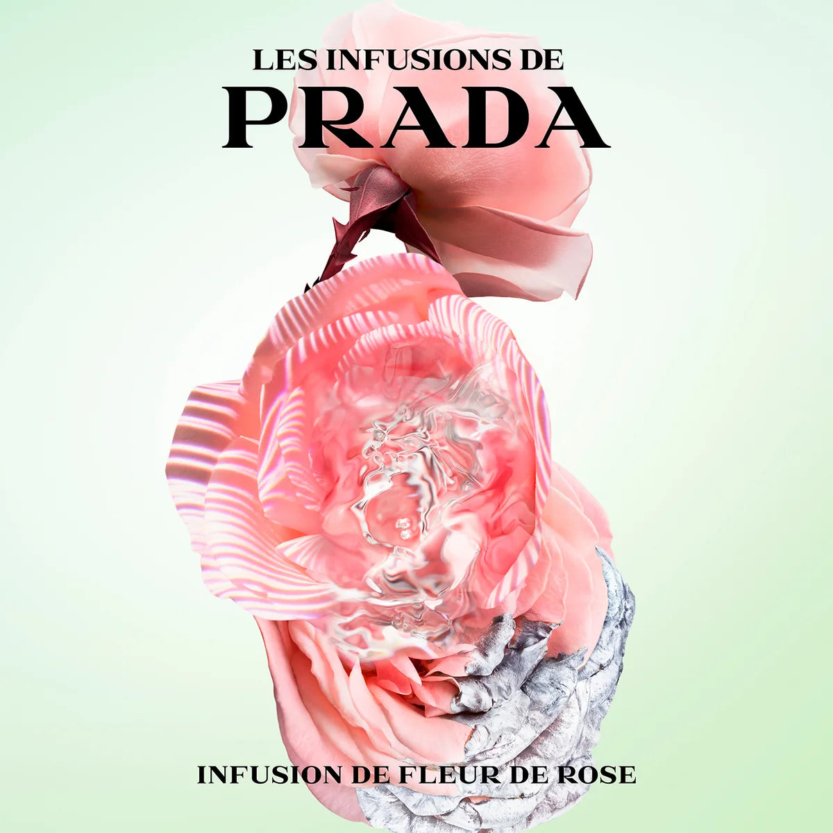Les Infusions Infusion de Rose Eau de Parfum