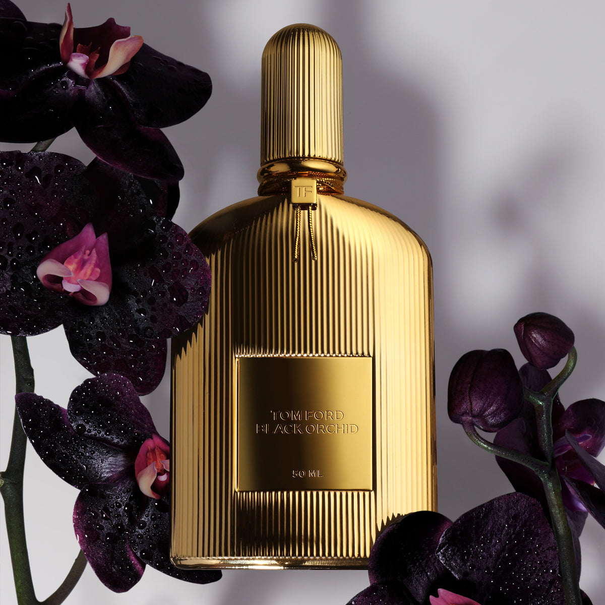 Black Orchid Gold Parfum