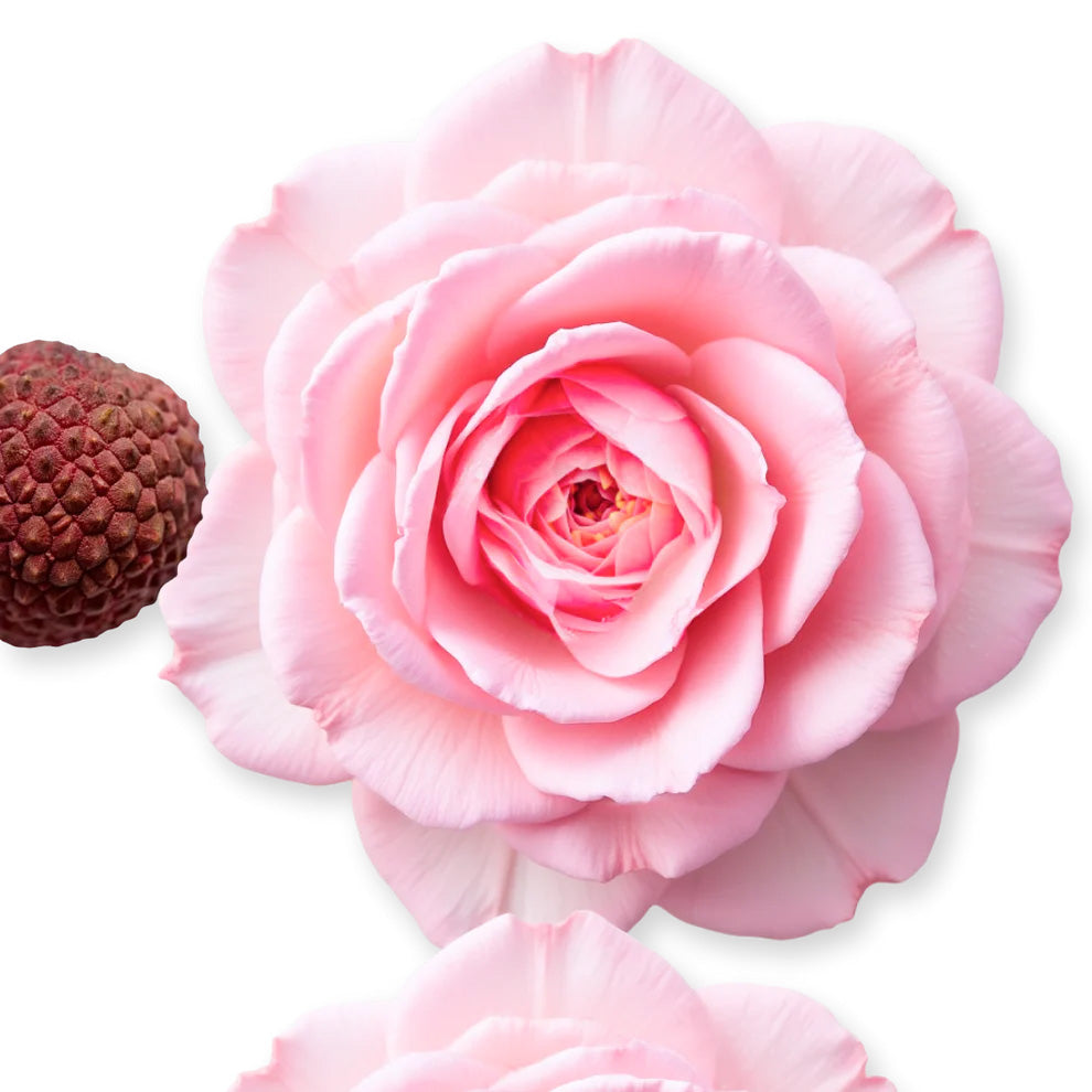 Delina Hair Perfume