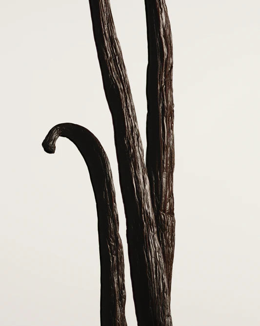 Vanilla Powder Eau de Parfum