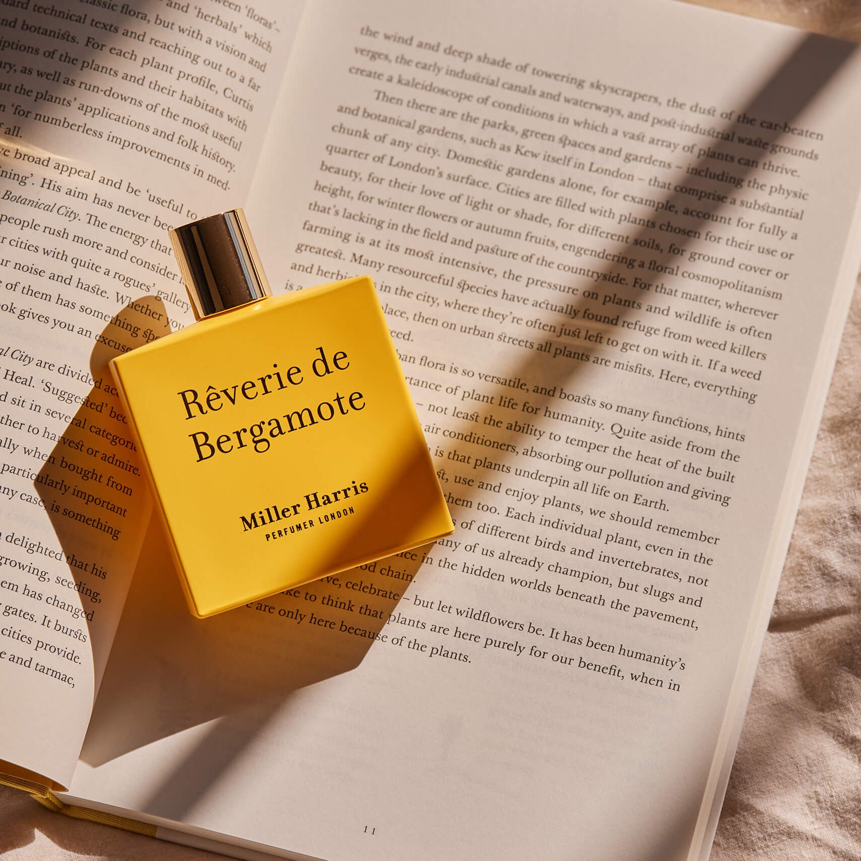 Reverie de Bergamote Eau de Parfum