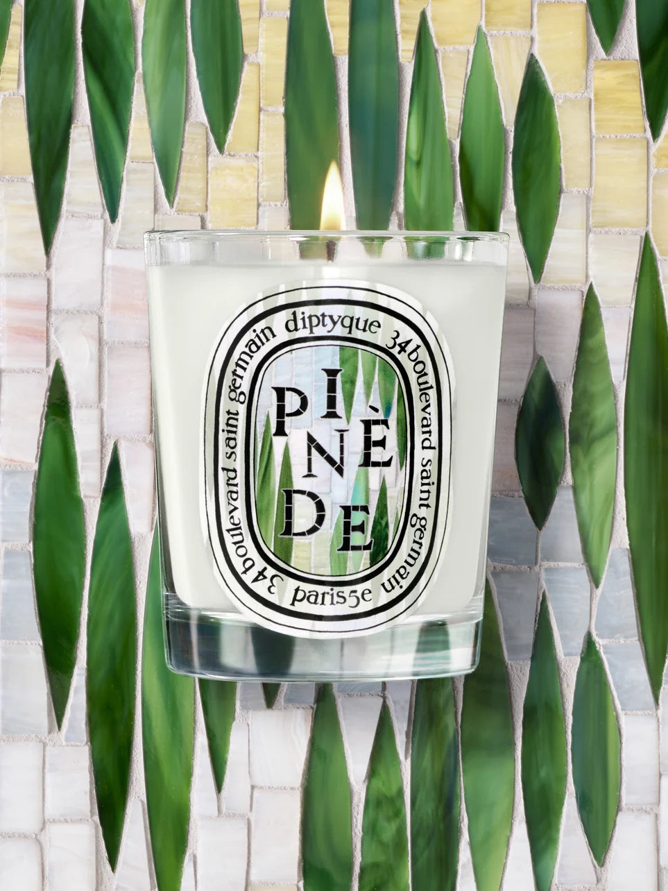 Pinède (Pineta) Candela
