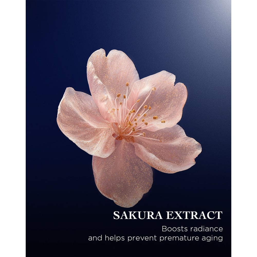 The Sakura Lotion