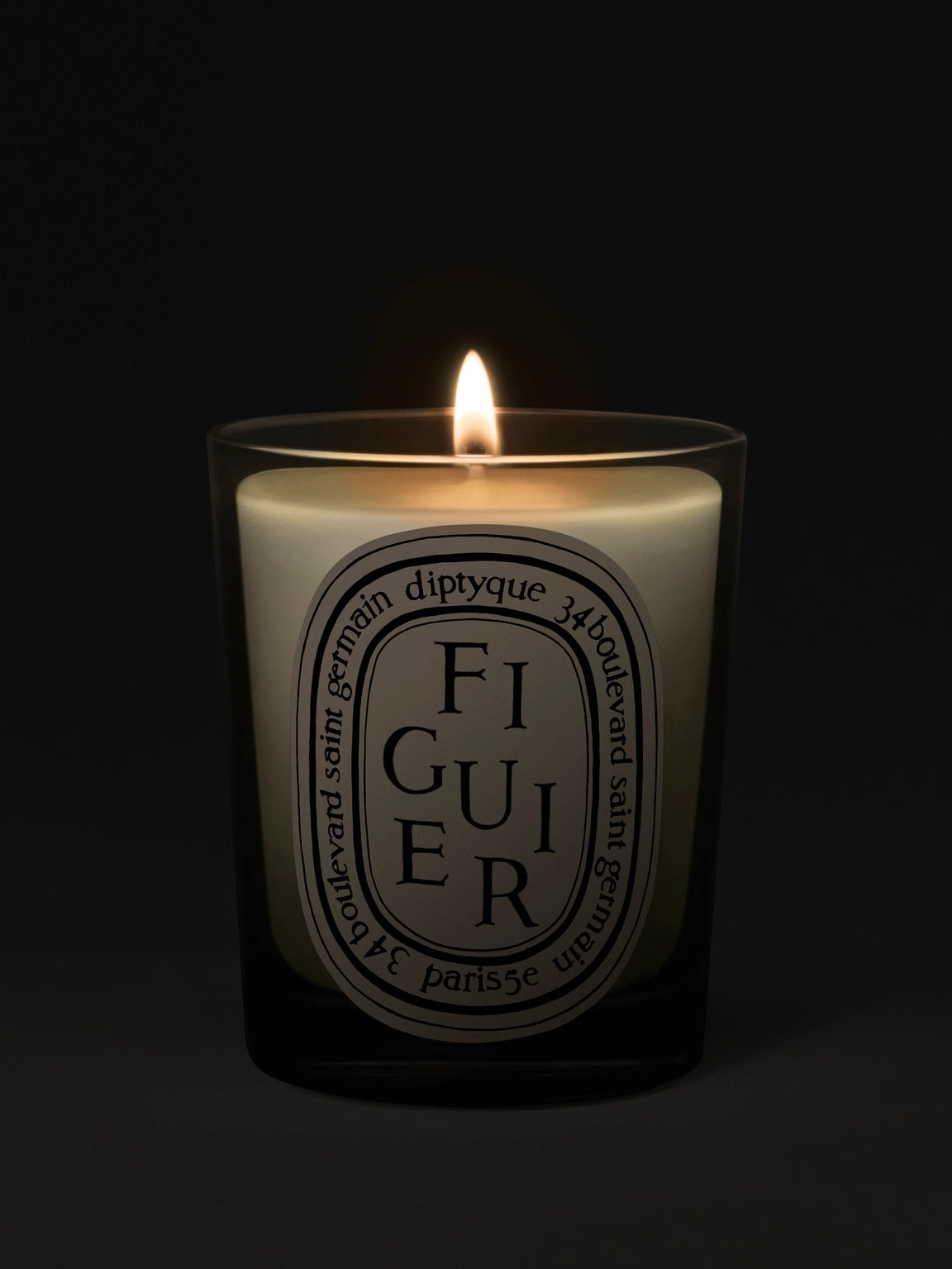Figuier Candela