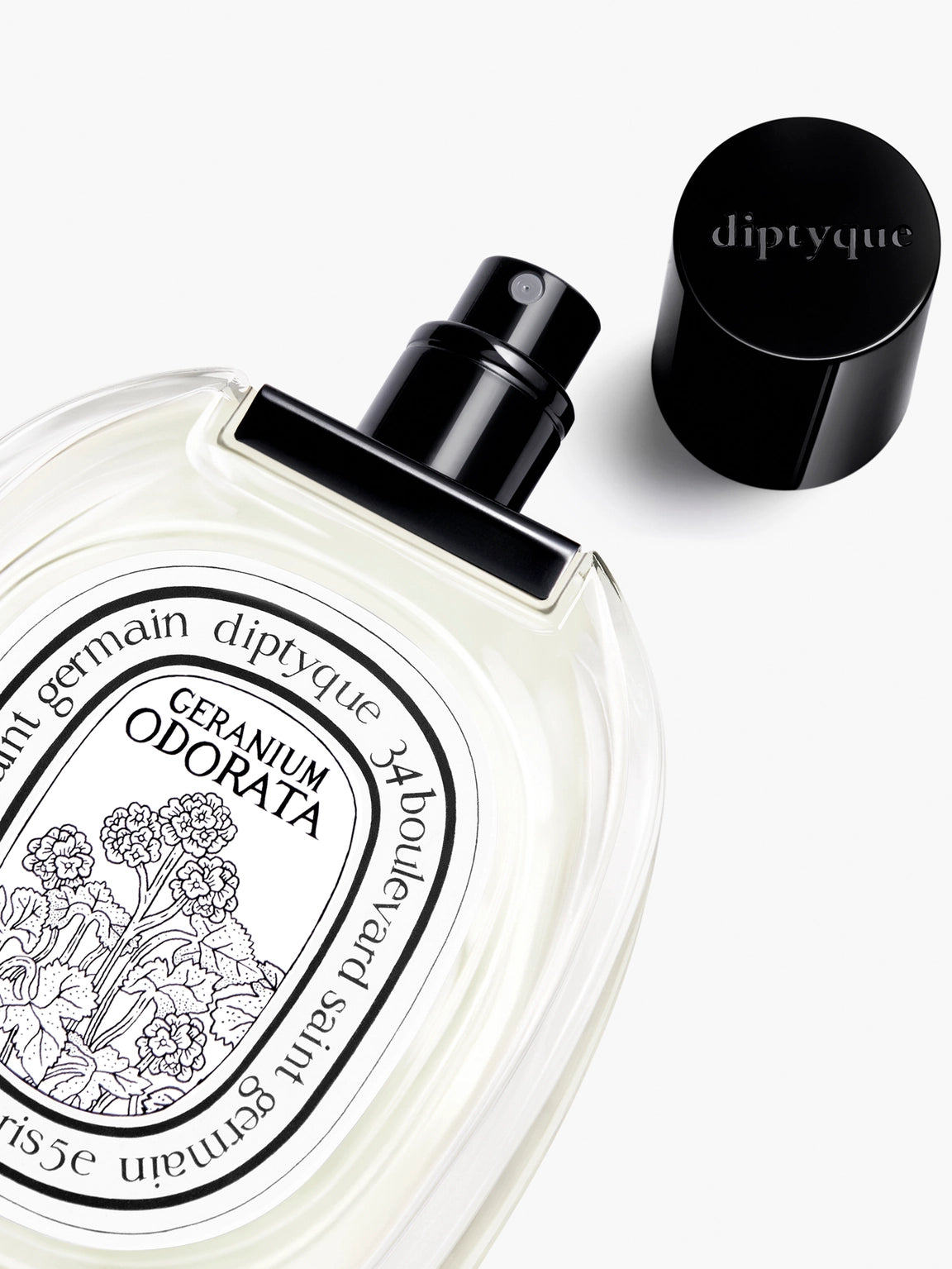 Geranium Odorata Eau de toilette