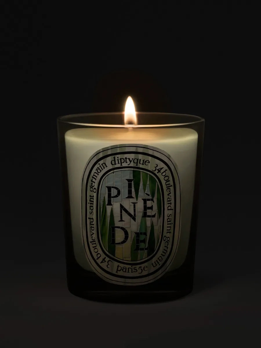Pinède (Pineta) Candela