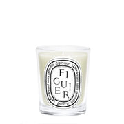 Figuier Candela