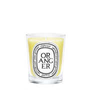 Oranger Candela