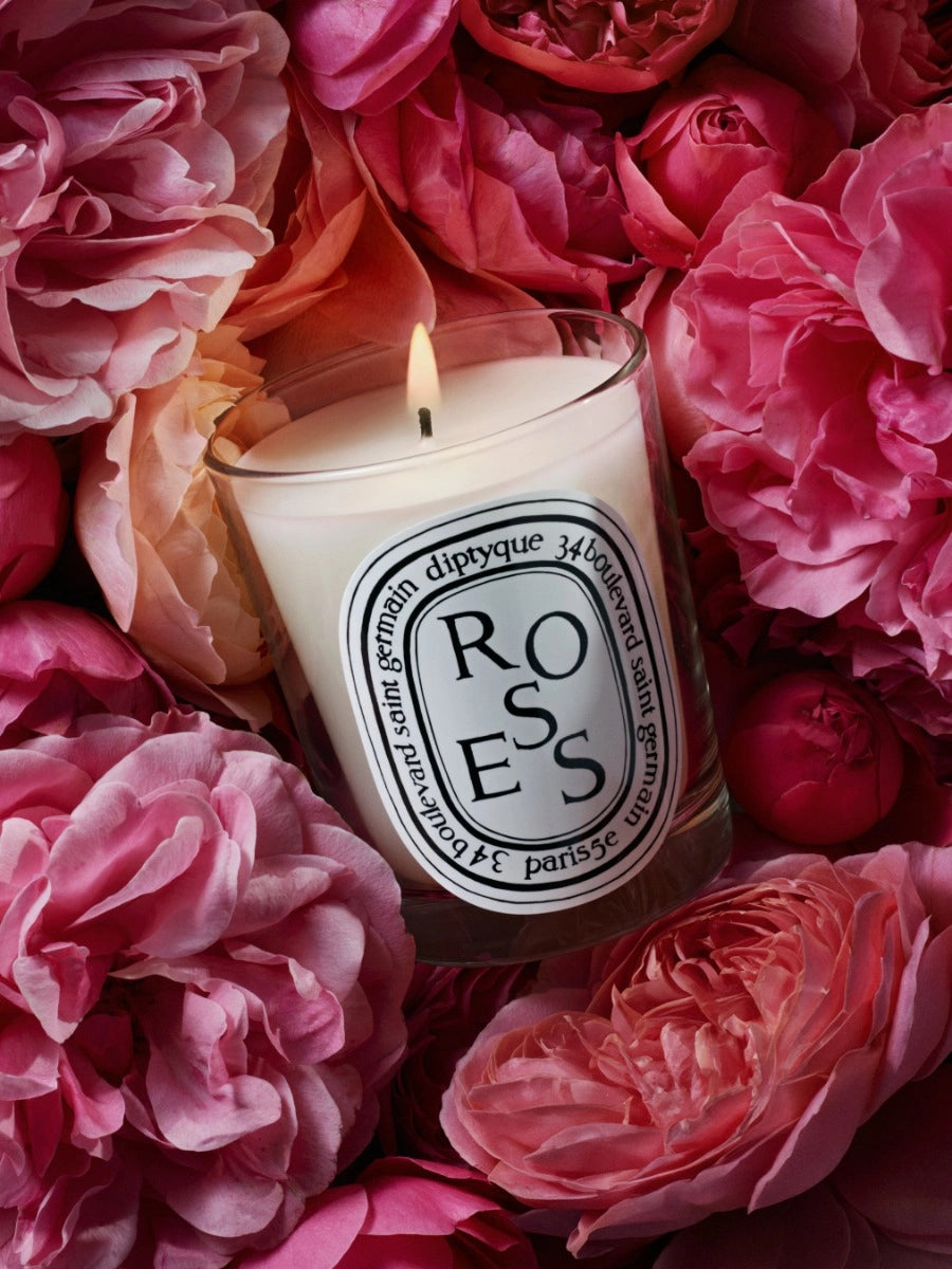 Roses Candela