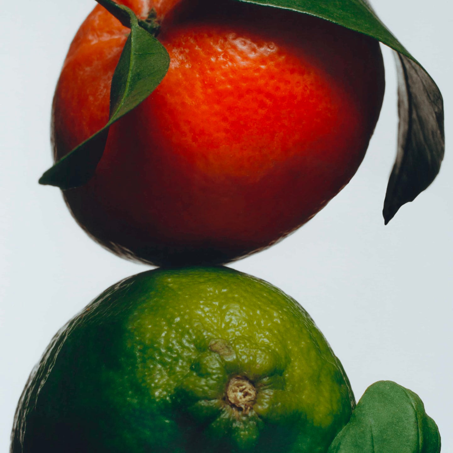 Lime Basil & Mandarin Diffusore con bastoncini