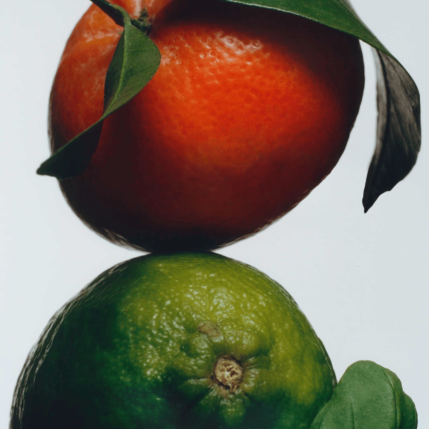 Lime Basil & Mandarin Sapone Solido