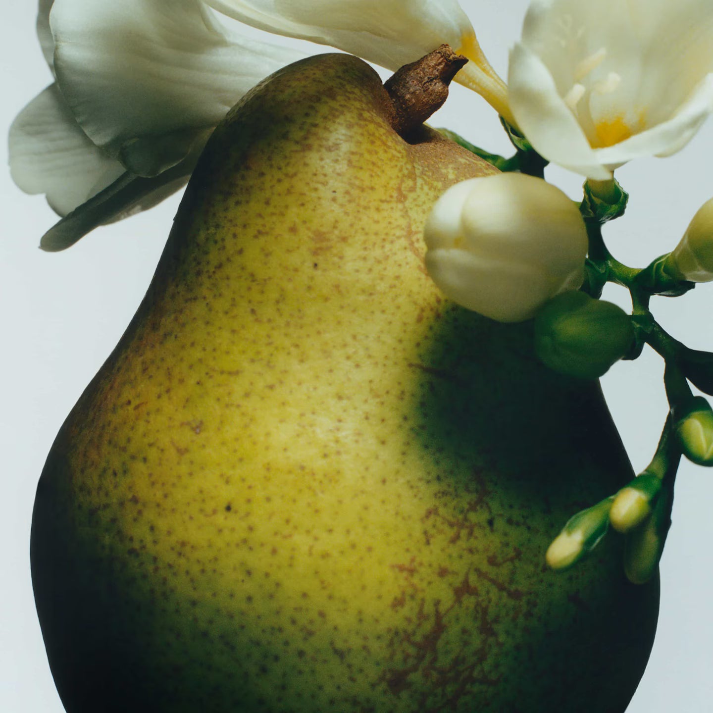 English Pear & Freesia Body Cream