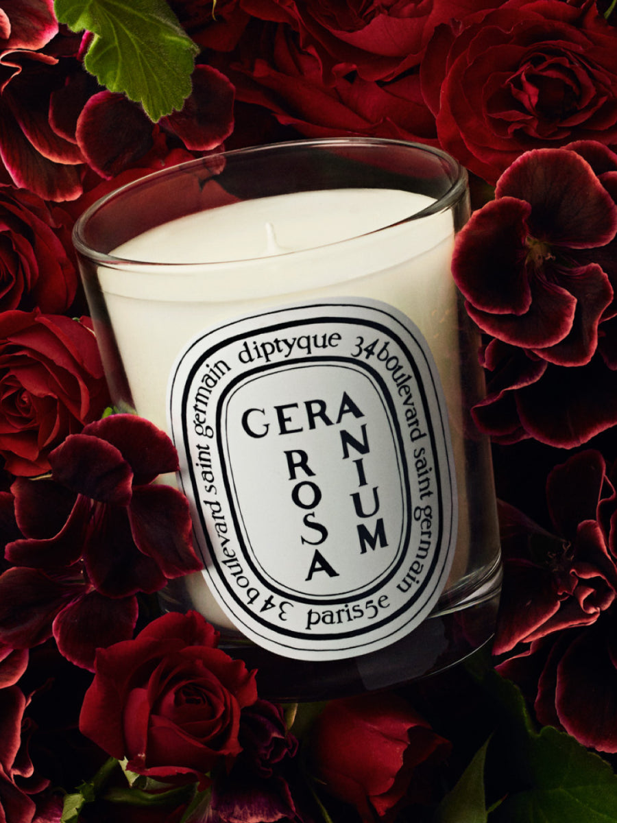 Geranium Rosa Candela