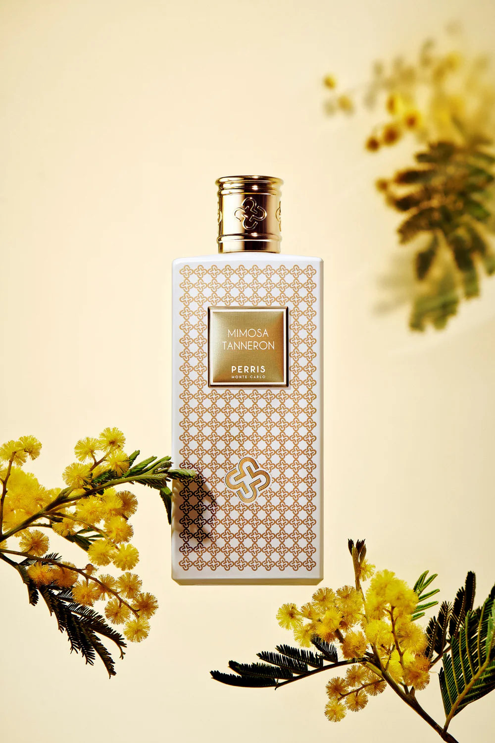 Mimosa Tanneron Eau de Parfum