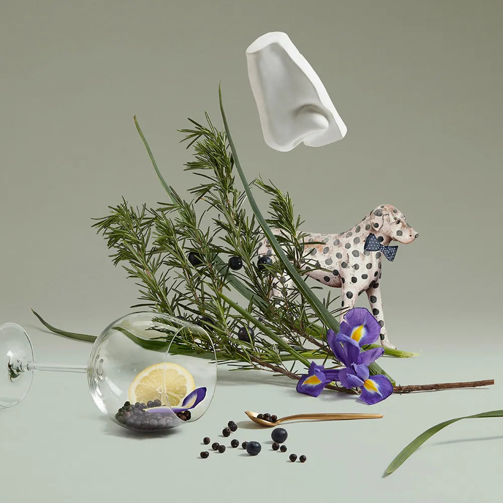 Juniper Sling Eau de Toilette